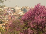 Roma en primavera -