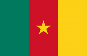 Bandera de Camerún