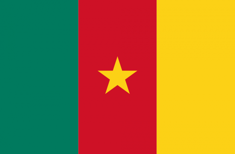 Bandera de Camerún