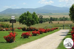 vacaciones en italia